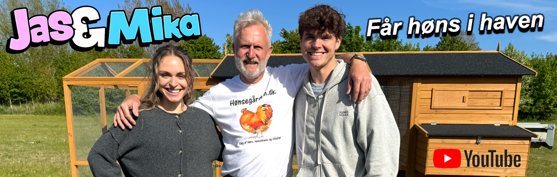 Jas & Mika høns
