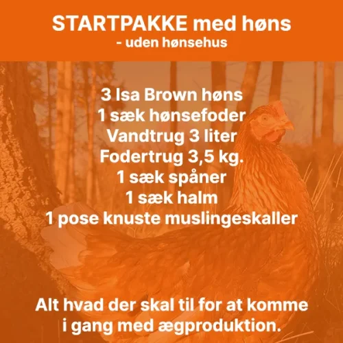 Startpakke med høns